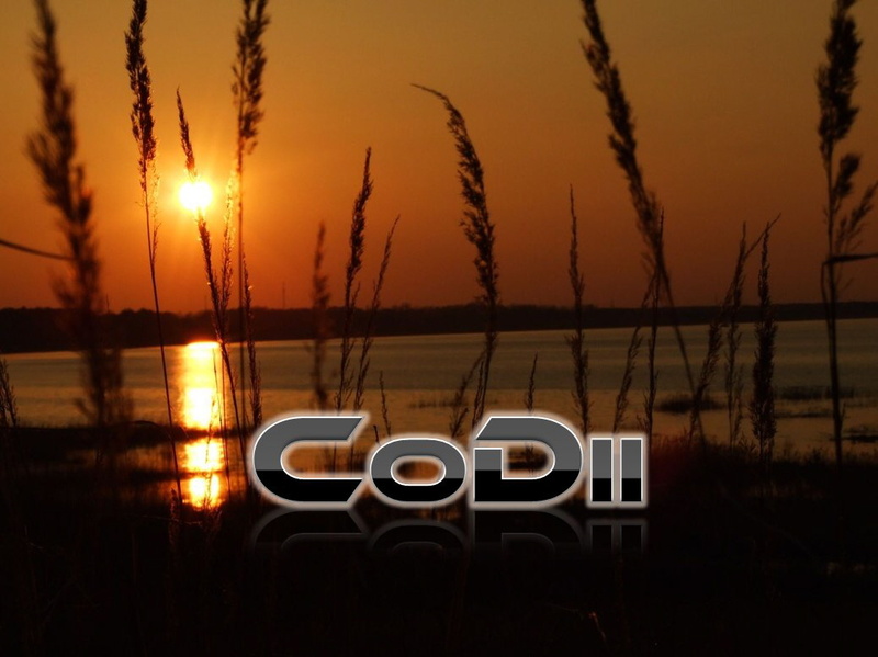 DJ_DR / CoDii