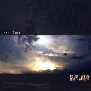 The Beardeds Project